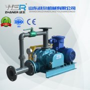 WSR-80化工行業(yè)專用羅茨鼓風(fēng)機(jī)